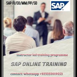 naseer2 sap