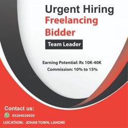 freelancer bidder 4-01