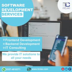software dev