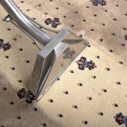 FreshlyCleanedCarpet5